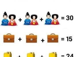 Gioco matematico giapponesi zano giallo e valigetta marrone