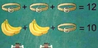 Soluzione gioco matematico cintura banana e uomo primitivo
