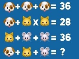 Soluzione gioco matematico con cane gatto e topo