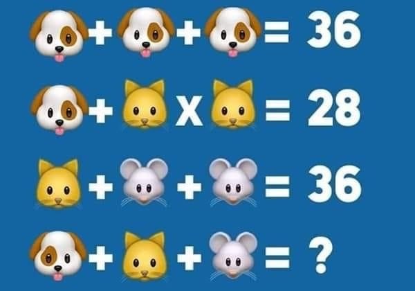 Soluzione gioco matematico con cane gatto e topo