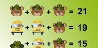Soluzione gioco matematico con orso cappello e autobus