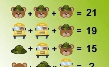 Soluzione gioco matematico con orso cappello e autobus