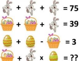 Soluzione gioco matematico coniglio cesto con uova e uova
